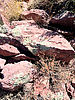 photo thumbnail #7