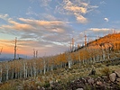photo thumbnail #5