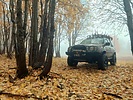 photo thumbnail #9