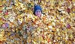 photo thumbnail #5