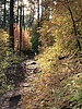 photo thumbnail #8