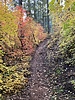 photo thumbnail #9