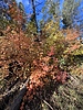 photo thumbnail #14