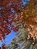 photo thumbnail #15