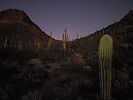photo thumbnail #7