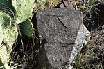 photo thumbnail #5