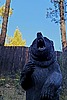 photo thumbnail #5