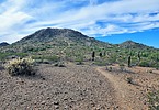 photo thumbnail #6