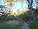 photo thumbnail #13
