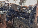 photo thumbnail #11