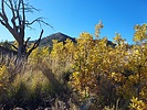 photo thumbnail #4