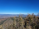 photo thumbnail #12