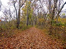 photo thumbnail #2