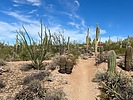photo thumbnail #6