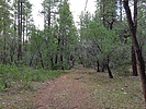 photo thumbnail #3
