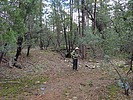 photo thumbnail #4