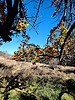 photo thumbnail #15