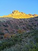 photo thumbnail #3