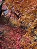 photo thumbnail #15