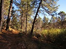 photo thumbnail #13