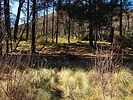 photo thumbnail #15