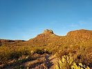 photo thumbnail #1