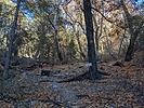 photo thumbnail #7