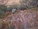 photo thumbnail #15