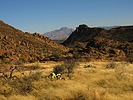photo thumbnail #7