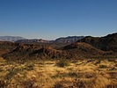 photo thumbnail #14
