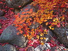 photo thumbnail #14