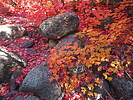 photo thumbnail #15