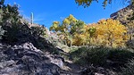 photo thumbnail #11