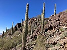photo thumbnail #3