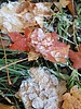 photo thumbnail #11
