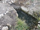 photo thumbnail #14
