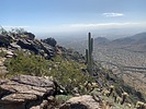 photo thumbnail #4