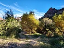 photo thumbnail #1