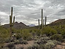 photo thumbnail #9