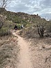 photo thumbnail #2