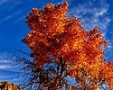 photo thumbnail #1