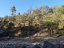 photo thumbnail #9
