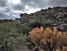photo thumbnail #1