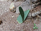 photo thumbnail #10