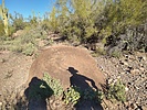photo thumbnail #5