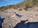 photo thumbnail #13