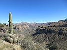 photo thumbnail #11