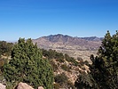 photo thumbnail #12