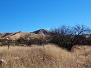 photo thumbnail #1