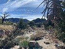 photo thumbnail #15